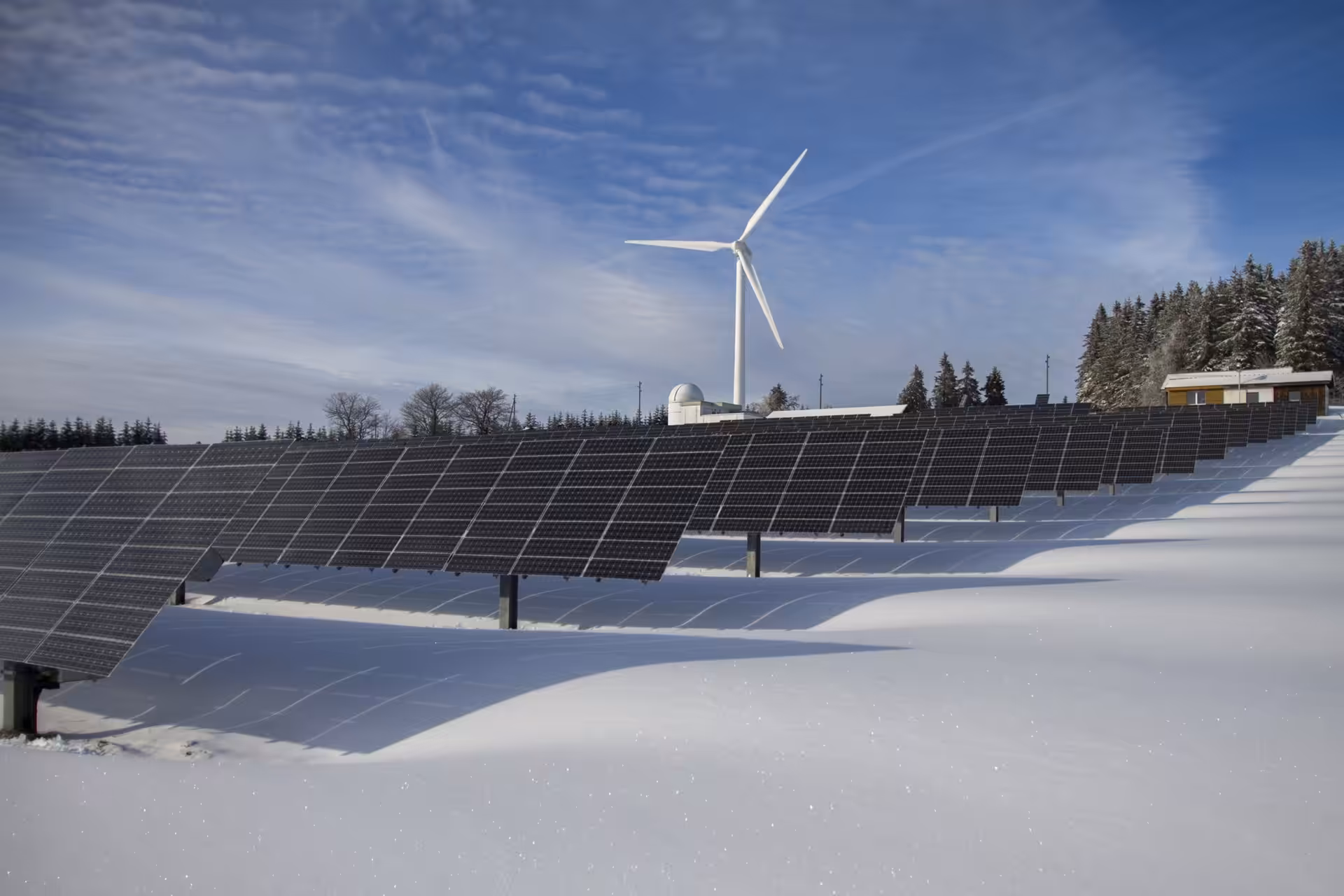 Policy Corner: The greenest energy we can afford
